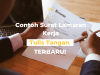 CV Tulis Tangan