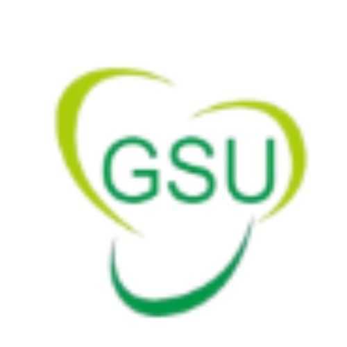 PT. Giri Sakti Utama (PT.GSU)