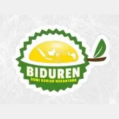 Biduren